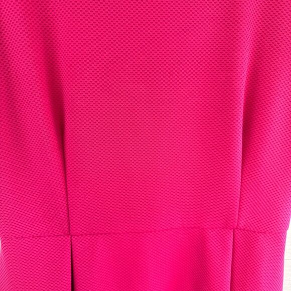 Anthropologie Hutch Vicki Textured Fit & Flare Pink Dress Large - Picture 2 of 5